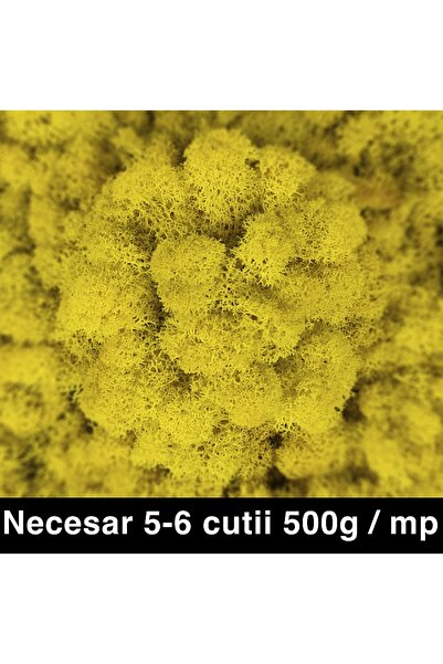Roberto Rossi Licheni curatati si fara radacina conservati 500g NET, calitate...