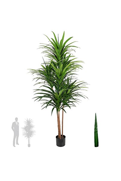 Roberto Rossi Dracaena artificiala marginata cu 310 frunze verzi H180 cm