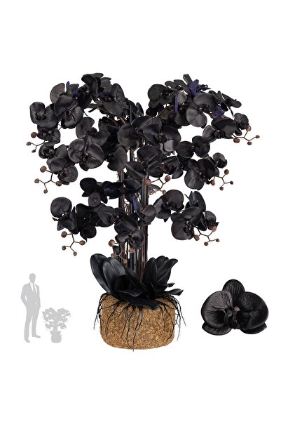 Roberto Rossi Orhidee artificiala neagra cu aspect H90 cm cu 12 tulpini si fr...