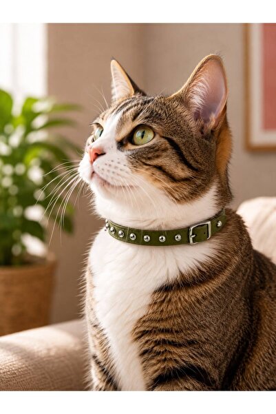 PREMİUM KEDİ VE KÜÇÜK IRK KÖPEK BOYUN TASMASI