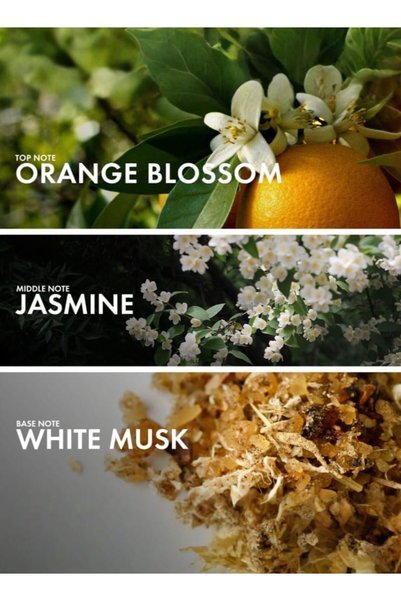 CRAFTIER CITRUSY JASMINE - Inspired-M. WAY NECTAR, Perfume For Women - EDP 50ml, Floral Fruity Fragrance