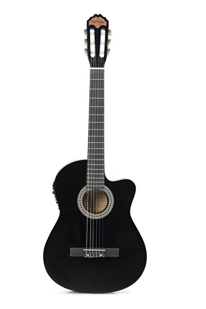 Miguel Artegas Elektro Klasik Gitar