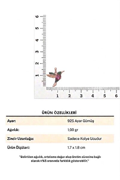 Papatya Silver 925 Ayar Gümüş Minimal Taşlı Arı Kuşu Charm Kolye Ucu