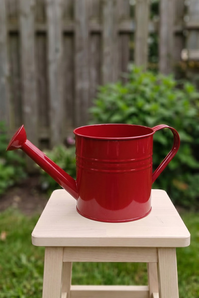 Desen Dekorasyon Laura 5 Litre Metal Çiçek Bahçe Sulama Kabı Kırmızı - Modern...