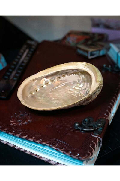 Namaruna Cochilie de abalone