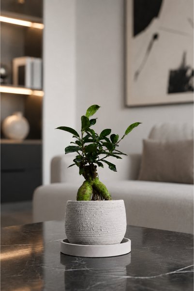 VASODEK Dekoratif Beton Saksı V-127-AÇİK GRİ