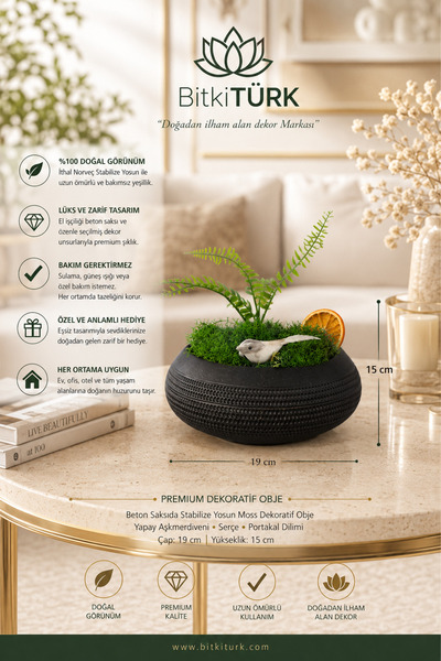 BitkiTÜRK Stabilize Yosunlu Dekoratif Obje Beton Saksı – Masaüstü Ev Ofis Kaf...