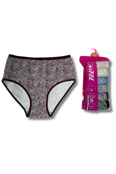 TOLIN Women's 6-Piece Cotton Lycra Towel Mesh Detailed High Waist Panties Set...