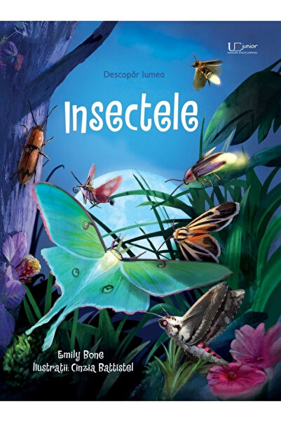 Editura Univers Enciclopedic Insecte, Emily Bone - Editura Univers Enciclopedic