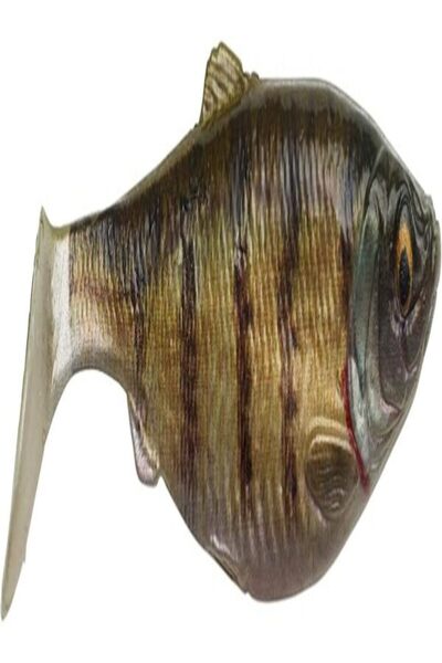 SAVAGE Gear Rubber Fish LB 4D Herring Shad 9 cm Zander