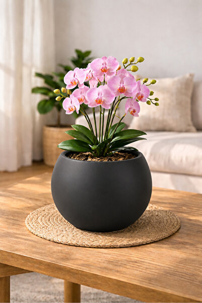 CANBOTANİK Antrasit Küre Saksı 20cm (İç Hazneli) Modern Tasarım Küçük Boy Saksı Premium Kalite Plastik Saksı