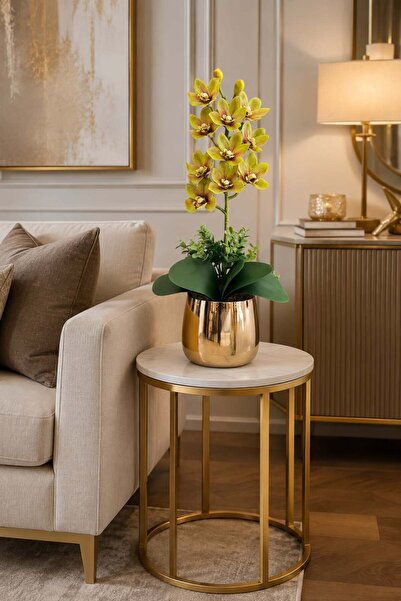 ArzzHome Cezve Saksı Premium Singapur Orkide Aranjmanı Yeşil / Gold