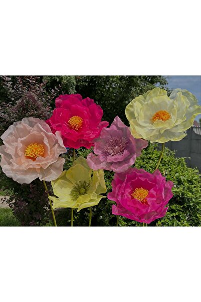 Gradina Carolinei Set 6 flori gigant organza