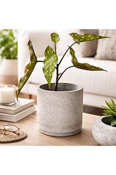 PAN HOME Kaylee Cement Planter 21.5x21cm- Grey