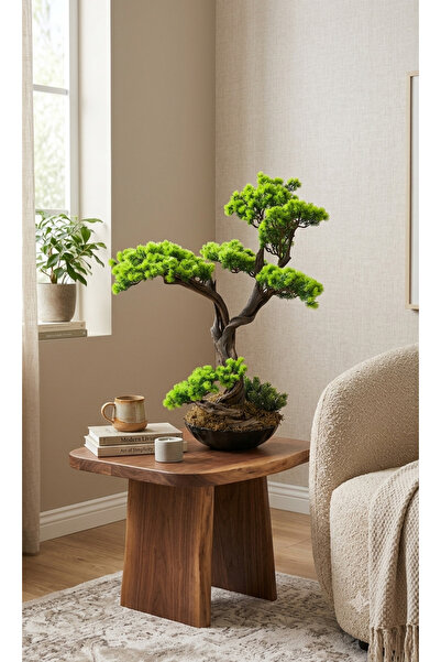İremÇiçekçilik Siyah Melamin saksıda Yeşil yapraklı Bonsai