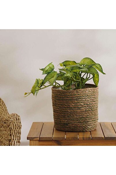 PAN HOME Marcela Sea Grass Planter D20xh20cm - Natural