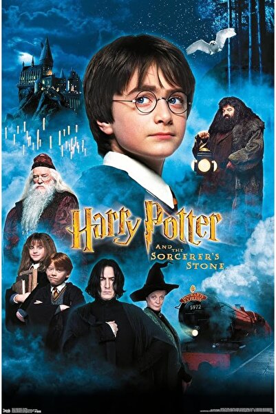 ESSESORIES Harry Potter Movie Poster Wall Art Room Decor Self Adhesive