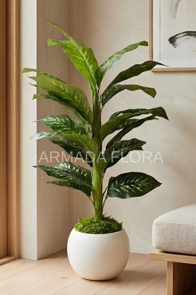 Armada Flora Yapay Difenbahya Ağacı 120-130 cm – 27*33 Küre Saksılı