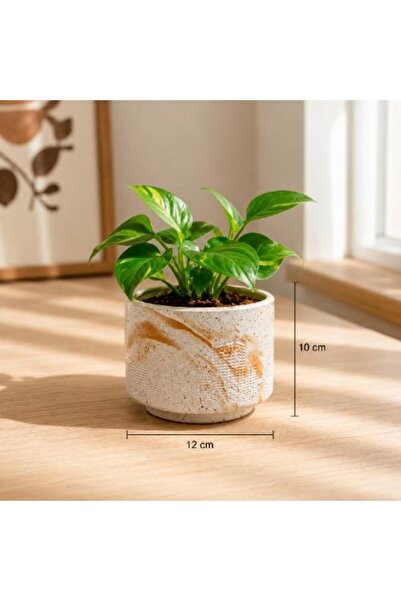 Warehouse Elegant Ceramic Pot with Marble Design