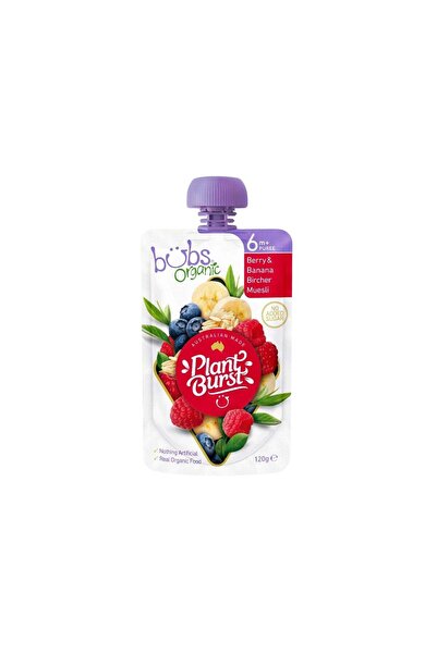 Organic Organic Baby Snack Corn Pumpkin Chia Seed Snack from Organicbobs 120g