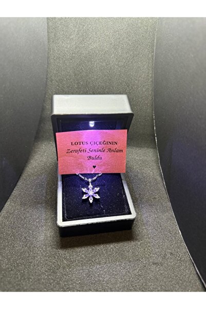 HKN AVM ACCESSORİES Işıklı Hediye Kutulu Kadın Kolye Ametis Taşlı Gümüş Renk Çelik Kolye Kararmaz Kolye Bereket kolye 14 Şubat Sevgililer günü hediyesi Doğum Günü Hediyesi Sevgiliye Hediye advent calendar