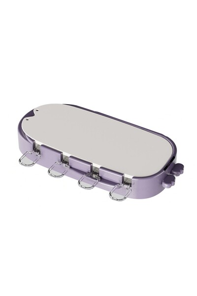 Rao Forma pentru Inghetata RAO, 4 Compartimente, Forme cu Animalute, Material...