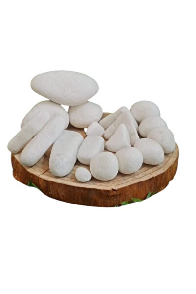 Moemi Beyaz Dolomit Taşı 5 Kg 2-4 CM | Saksı Üstü Dekoratif Çakıl Taşı | Tera...