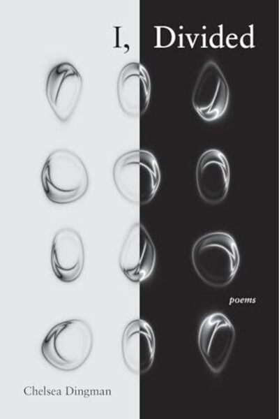Harper Collins I Divided Poems