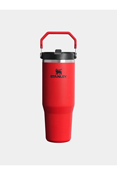 Stanley The IceFlow™ Flip Straw 2.0-