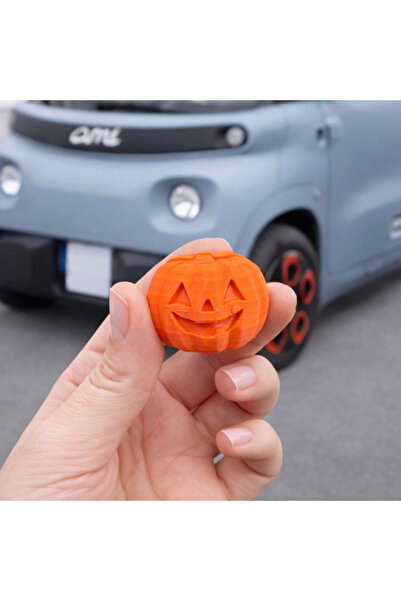 LYNOVATE3D Citroën Ami & Fiat Topolino Uyumlu Balkabağı Kapı Açma Aparatı 2’l...