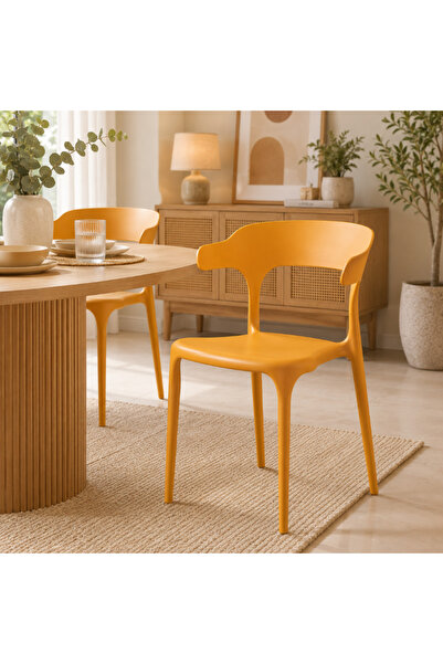 Palma homez Multi-Color Dining Chair Modern Streamline Design