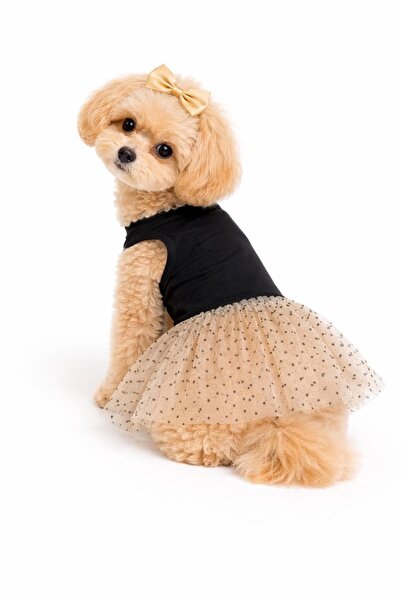 Buddy Store Siyah - Bej Tütülü Yazlık Elbise