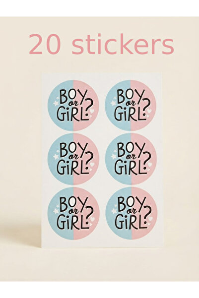 Generic Gender Reveal Stickers,20 Pieces for Baby Gender Reveal, Baby Shower ...