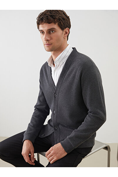 LC Waikiki Ozmarka New Season Standard Fit V-Neck Men's Sports Cardigan