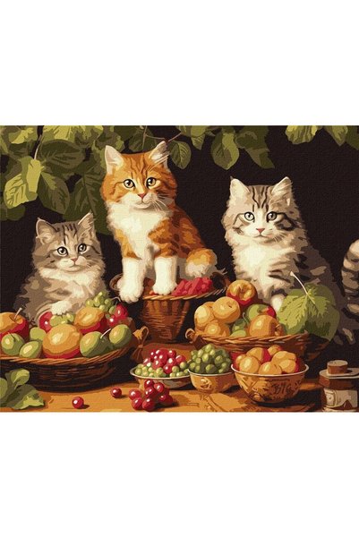 ideyka Tablou pentru pictura dupa numere Pisici si fructe, panza 40x50 cm, mu...