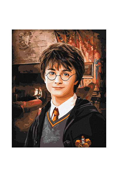 ideyka Set pictura pe numere Harry Potter multicolor 40x50cm