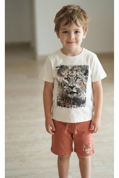 ICEFIELDS Boy's Shorts and T-Shirt Set