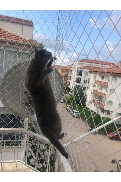 KONAK FİLE Kedi filesi, Hayvan koruma filesi 2.5metrex2metre