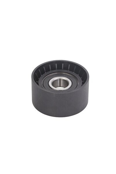 BTA Rola intinzator,curea accesorii Rvi Magnum Volvo 8700 B11 B12 B6 B9 FH12 ...
