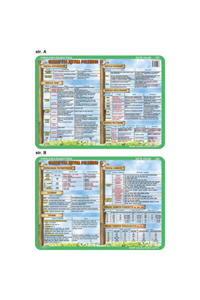 OEM Planșă educațională 008 Limba poloneză. Ortografie și Gramatică a Limbii ...