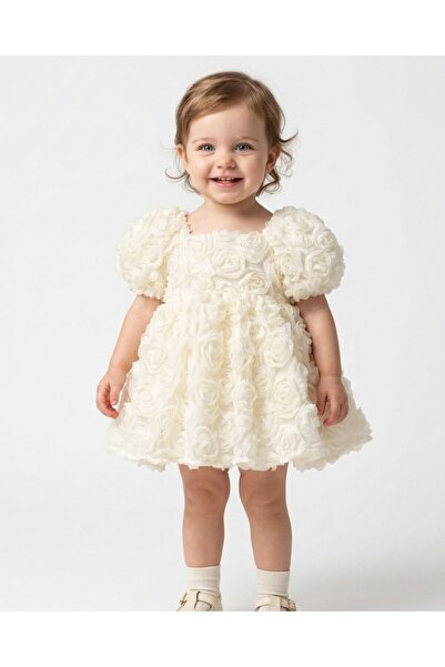 aysskids Rosa2 Fluffy Birthday and Special Occasion Girl's Baby Dress with Roses
