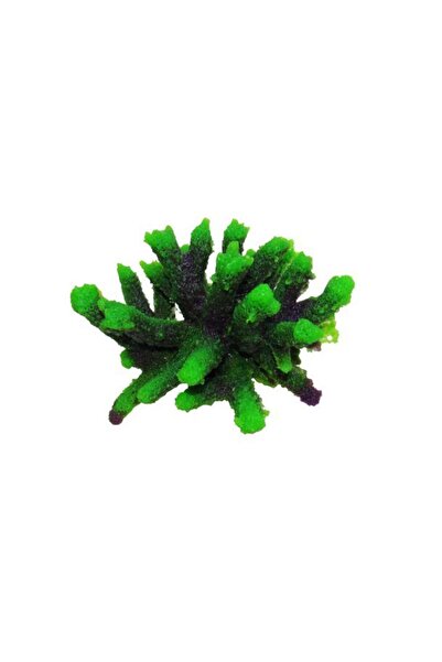 Ocean Free Decor coral verde pentru acvariu