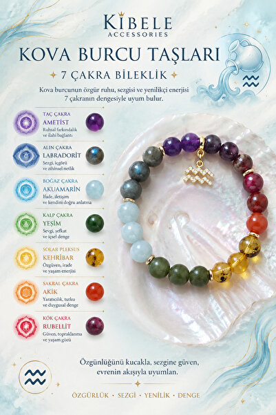 Kova Burcu Taşları 7 Çakra Bileklik