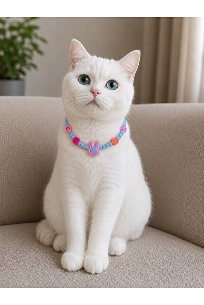 Pawellia.co Stylish Design Cat Collar Cat Necklace Small Breed Dog Collar Dog...