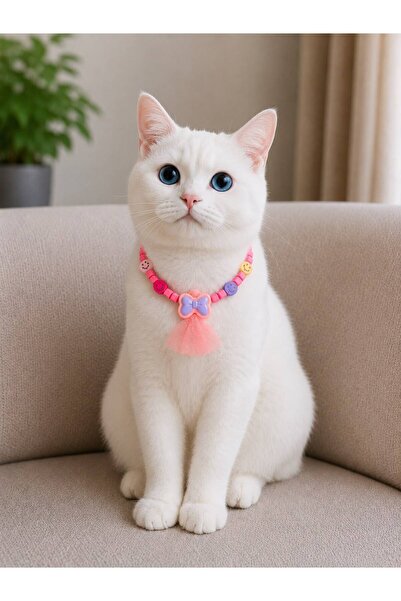 Pawellia.co Stylish Design Cat Collar Cat Necklace Small Breed Dog Collar Dog...