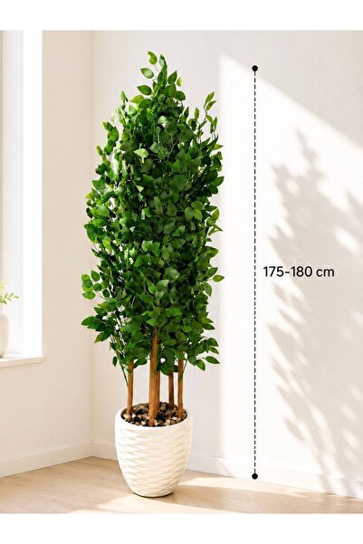 CENTRHOME 175-180 cm Tall Ficus Tree with Stand