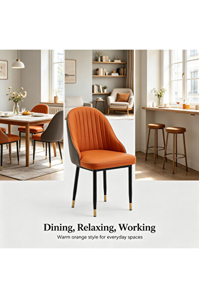 HayaBazaar Modern Dining Chair,High Back with Soft Seat,for Kitchen, Dining R...