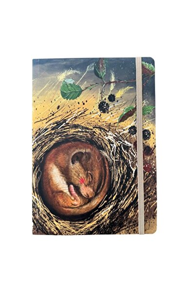 Alex Clark Figurina Koszatka multicolor 16x22cm cu notite A5 96 pagini liniate