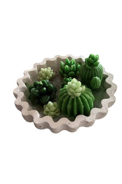 L.E.O. Giardino Collection – Mini Succulent Garden (7'li Mum Seti) - El Yapımı Mum