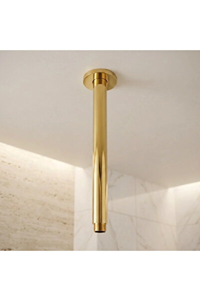Black even 50cm Gold Round Ceiling Shower Arm - Black Dawn